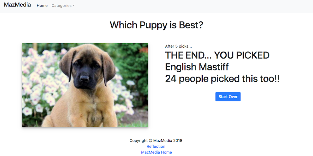 Puppy final pick screenshot